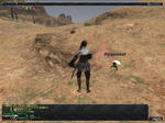 1cc0530e.JPG
