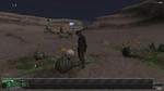 26137acc.JPG
