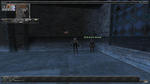 d5e9810f.JPG