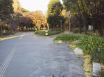 P1000178.JPG