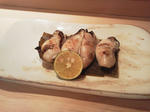 P1000254.JPG
