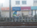 DSC_0091.jpg