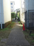 DSC_1705.JPG