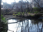 DSC_1707.JPG