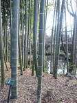 DSC_1711.JPG
