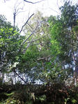 DSC_1714.JPG