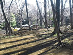 DSC_1816.JPG