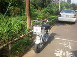 DSC_2990_2.jpg