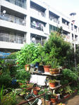 DSC_2986_2.jpg