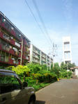 DSC_2988_2.jpg