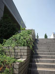 DSC_3159.JPG