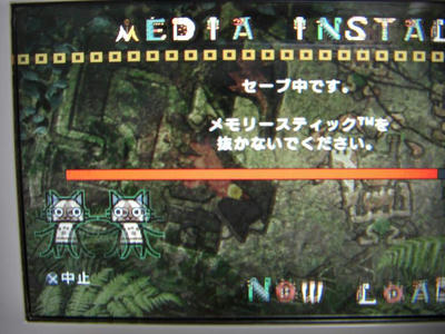 CIMG0096.JPG