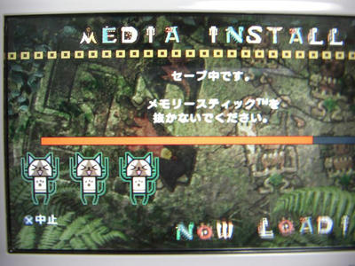 CIMG0097.JPG