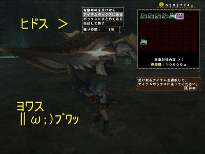 mhf_36.JPG