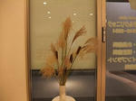 DSCF1313.JPG