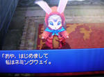 DSCN1648.JPG