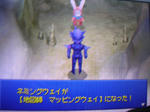 DSCN1651.JPG