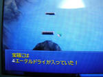DSCN1663.JPG