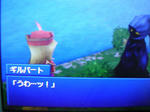 DSCN1671.JPG