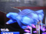 DSCN1720.JPG