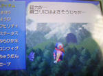 DSCN1731.JPG