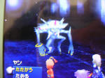 DSCN1735.JPG