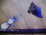 DSCN1750.JPG