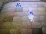 DSCN1756.JPG
