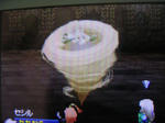 DSCN1771.JPG