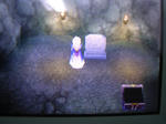 DSCN1825.JPG