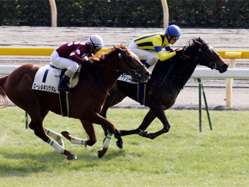 runto_110129_05.jpg