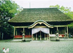 aoiaso-shomen-blog.jpg