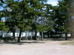 fukuyamajo-5.blog.jpg