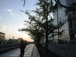 IMG_5331.JPG