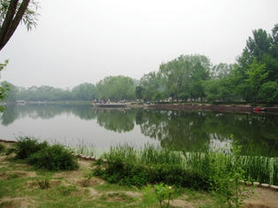 IMG_5438.JPG