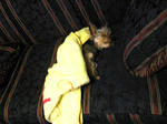 080304-1.jpg