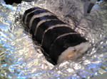 080414_2.jpg