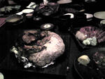 080429_2.jpg