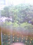 080605.jpg