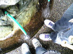 080802-2.jpg