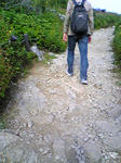 080802-6.jpg