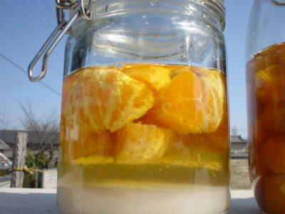100325food6.jpg