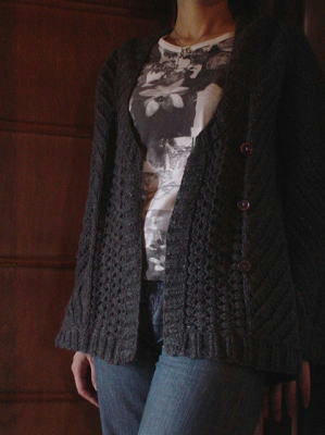 100408oblique1.jpg