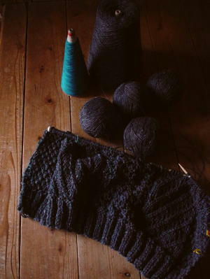 100202oblique1.jpg