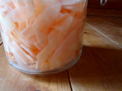 100629ginger.jpg