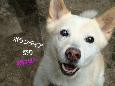 100930message15.jpg