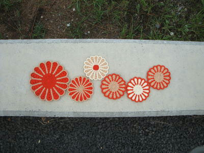 100907coaster1.jpg