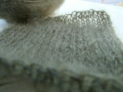 110106mouse2.jpg