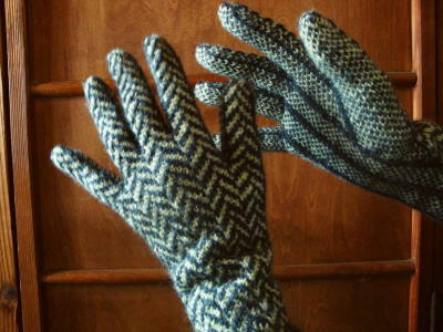 101209glove1.jpg