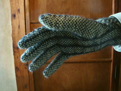 101209glove3.jpg